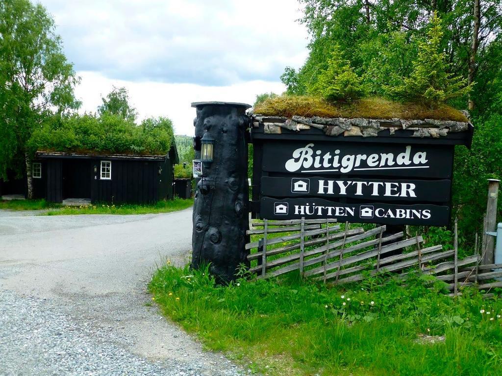 Bitigrenda N Villa Beitostolen Kültér fotó